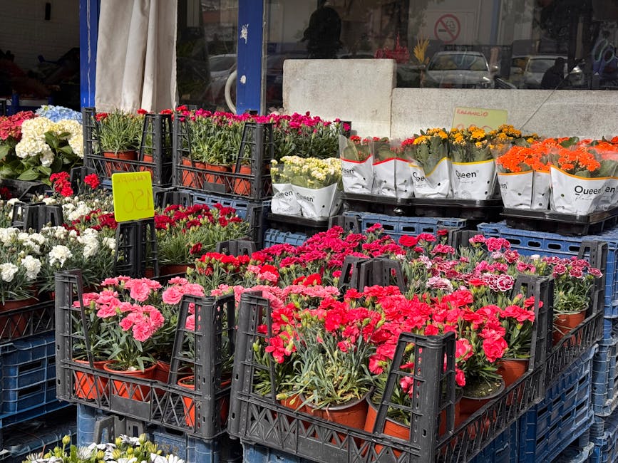 An outdoor display of flowering plants arranged in black plastic crates and terracotta pots, featuring vibrant pink, red, orange, and white blooms. The flowers include carnations and other seasonal va