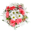 Bursting with the light and colour of a South Woodford spring, this handcrafted bouquet celebrates the area's sense of community and renewal. At the centre, lively white daisies with golden-green eyes shine brightly, surrounded by a lush, textured ring of coral-pink carnations whose ruffled petals add inviting softness. Wispy gypsophila sprigs are scattered among the blooms, their delicate white stars imparting a dreamy, whimsical charm. Eucalyptus leaves in soft silver hues and streaked alstroemeria buds peek from the mix, lending fragrance, dimensionality, and subtle sophistication. The harmonious palette and careful composition evoke the gentle promise of new beginnings-perfect for birthdays, expressions of friendship, or simply to brighten up a home along Woodford or Chigwell Roads. Thoughtfully arranged by skilled South Woodford florists, the bouquet radiates a serene exuberance, infusing any space with warmth, optimism, and the unique touch of a local flower shop that values heartfelt beauty.